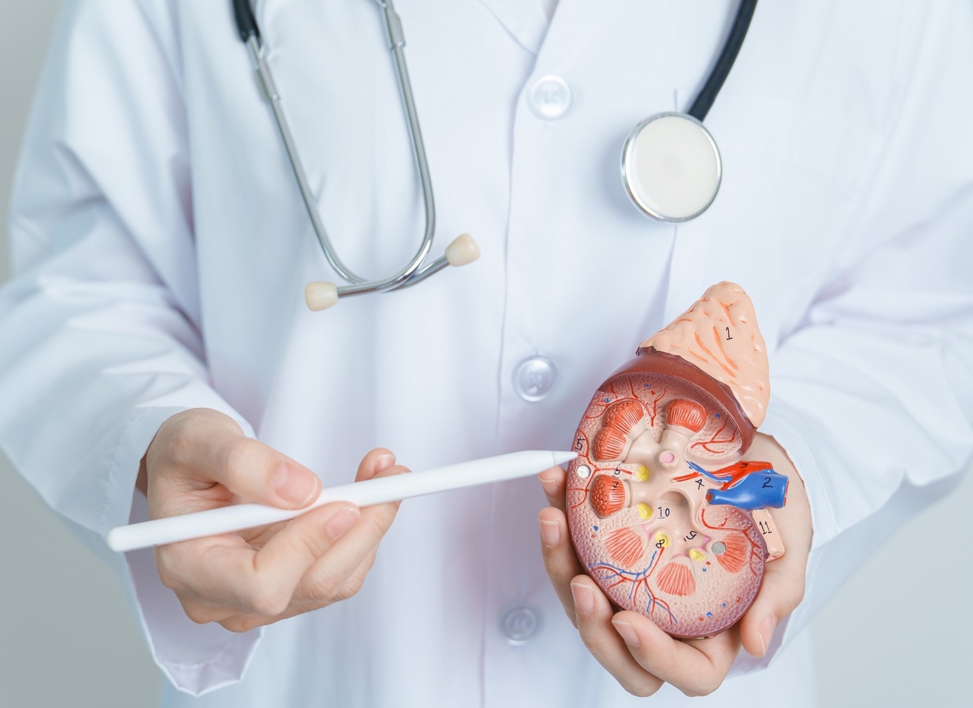 Urology